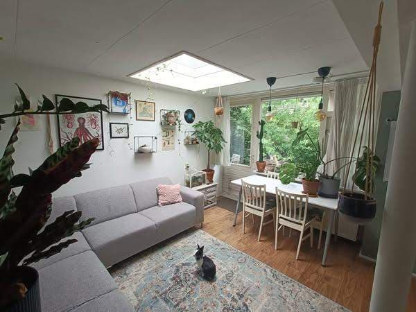 Studio Bagijnhof, Delft - À louer