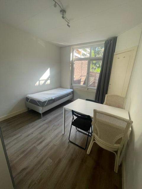 Furnished Room for Rent - van Leeuwenhoekstraat, Leeuwarden