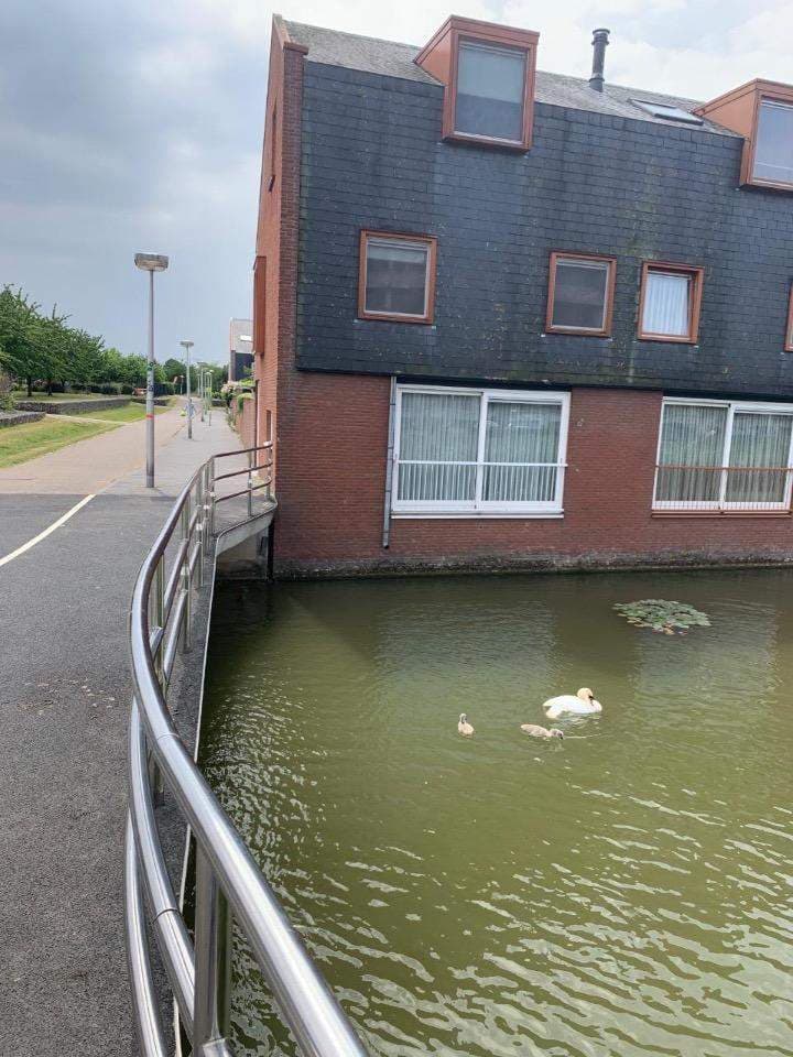 Habitación amueblada en alquiler en Galgenraklaan, Utrecht