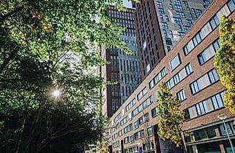 3-Kamer Appartement Carolina van Nassaustraat, Den Haag - Te Huur