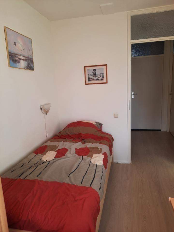 Furnished Room in Speenkruid, Beilen - For Rent