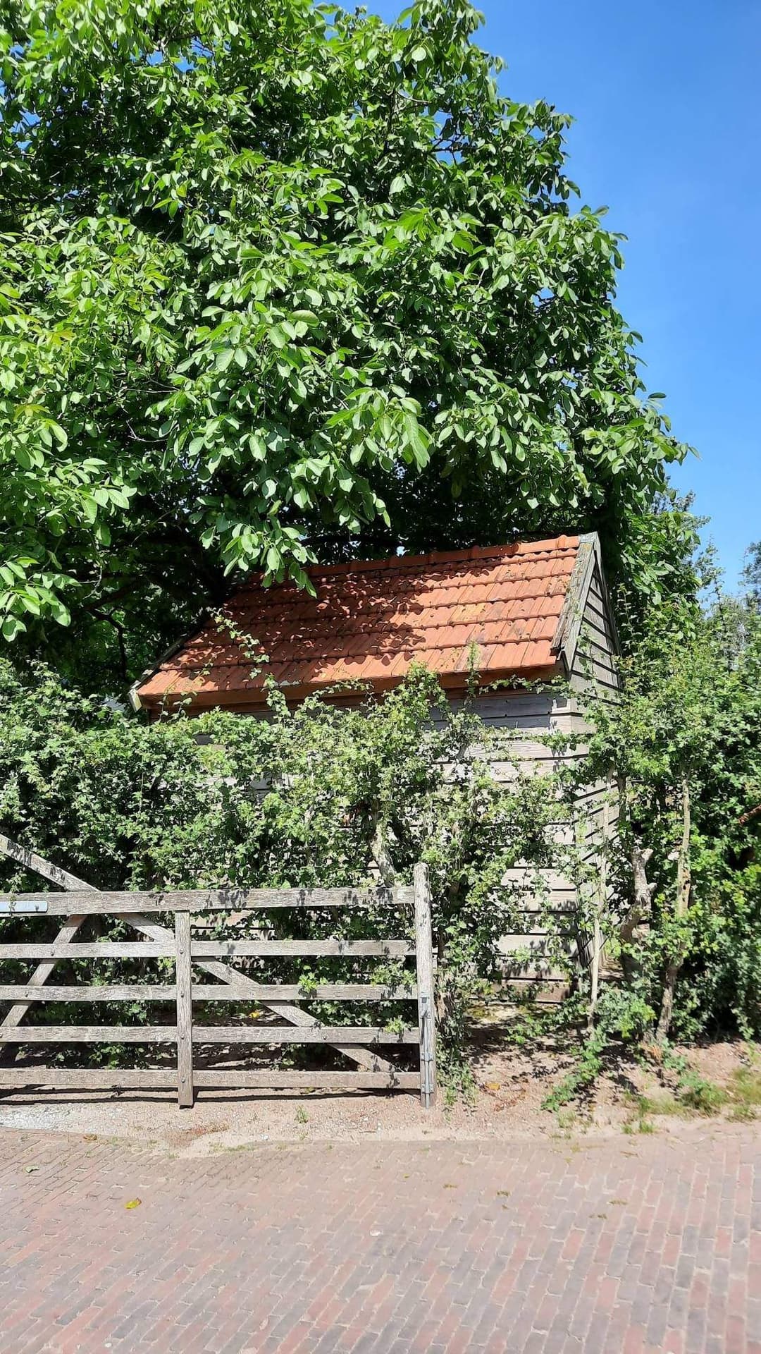 Rooisestraat, 5581 VN Waalre - Converted Farmhouse (Part)