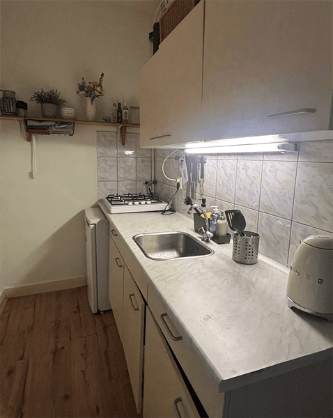 Appartement Maliebaan, Utrecht - Zur Miete