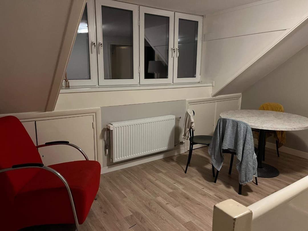Gemeubileerd zolderappartement Burgemeester Rauppstraat, Tilburg - Te huur