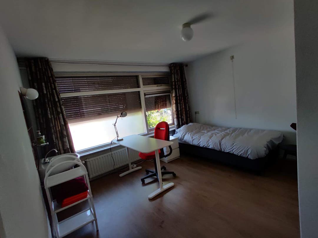 Ongemeubileerde Kamer Daumierstraat, Eindhoven - Te Huur