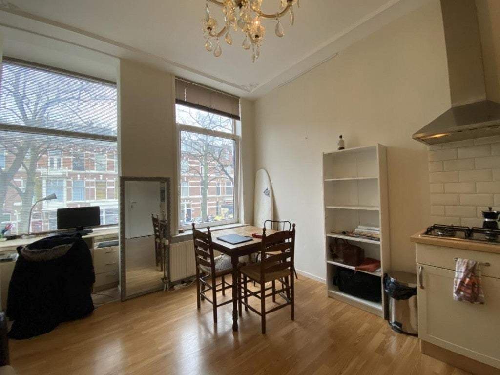 Flat Regentesselaan 161 C, Den Haag - Te Huur
