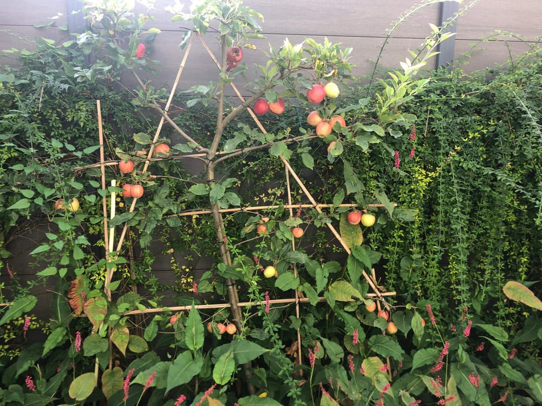 Gemeubileerde kamer Nieuwstraat, Tilburg - Te huur
