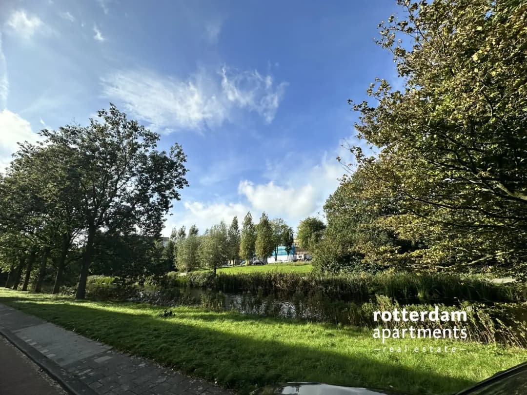 Stadhoudersplantsoen, La Haye - Appartement de court séjour