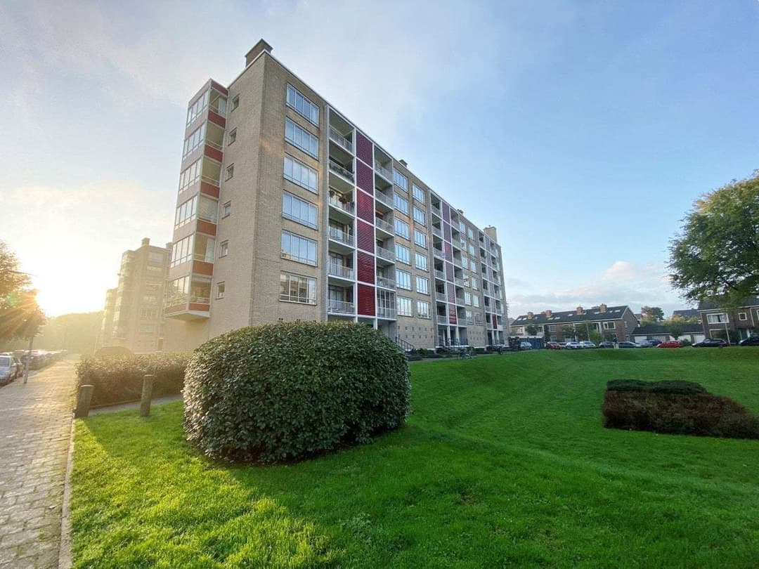 Flat Van Alkemadelaan, Den Haag - For Rent