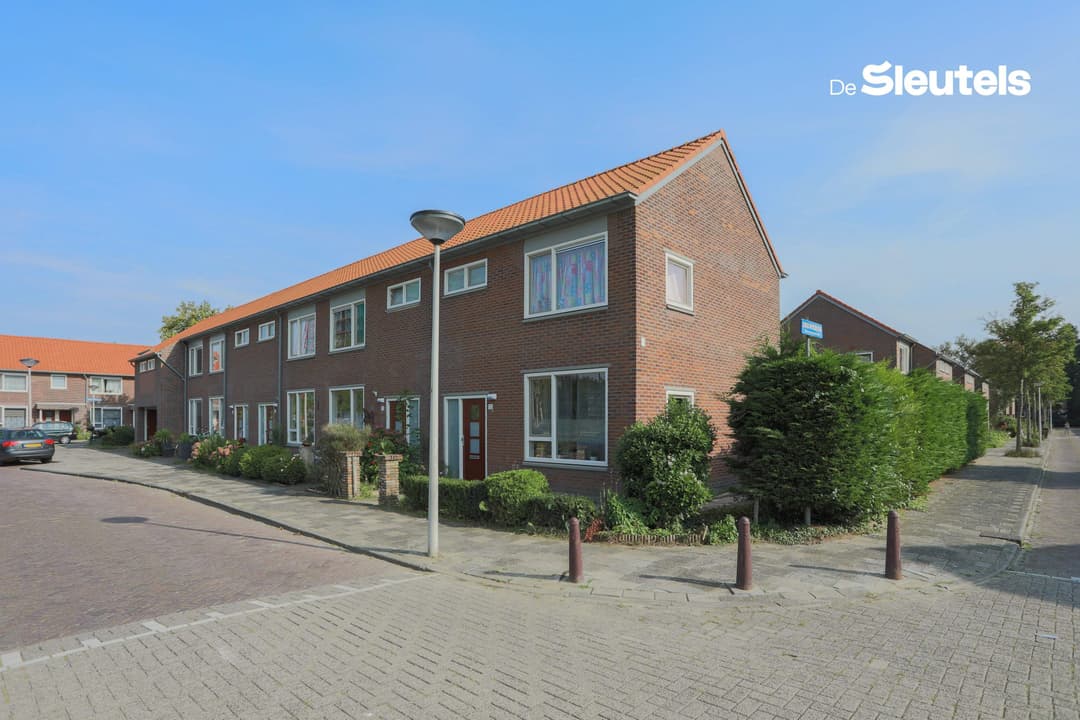 Studio Kneppelhoutstraat, Leiden - Zur Miete