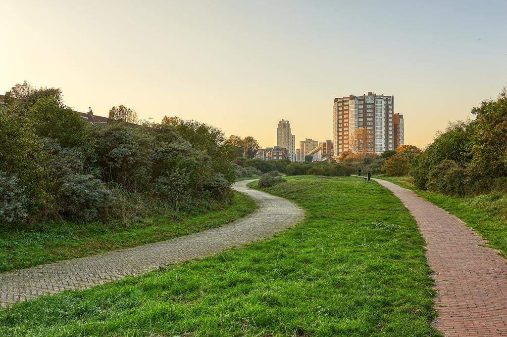 Appartement Zwolsestraat 385, La Haye - À louer