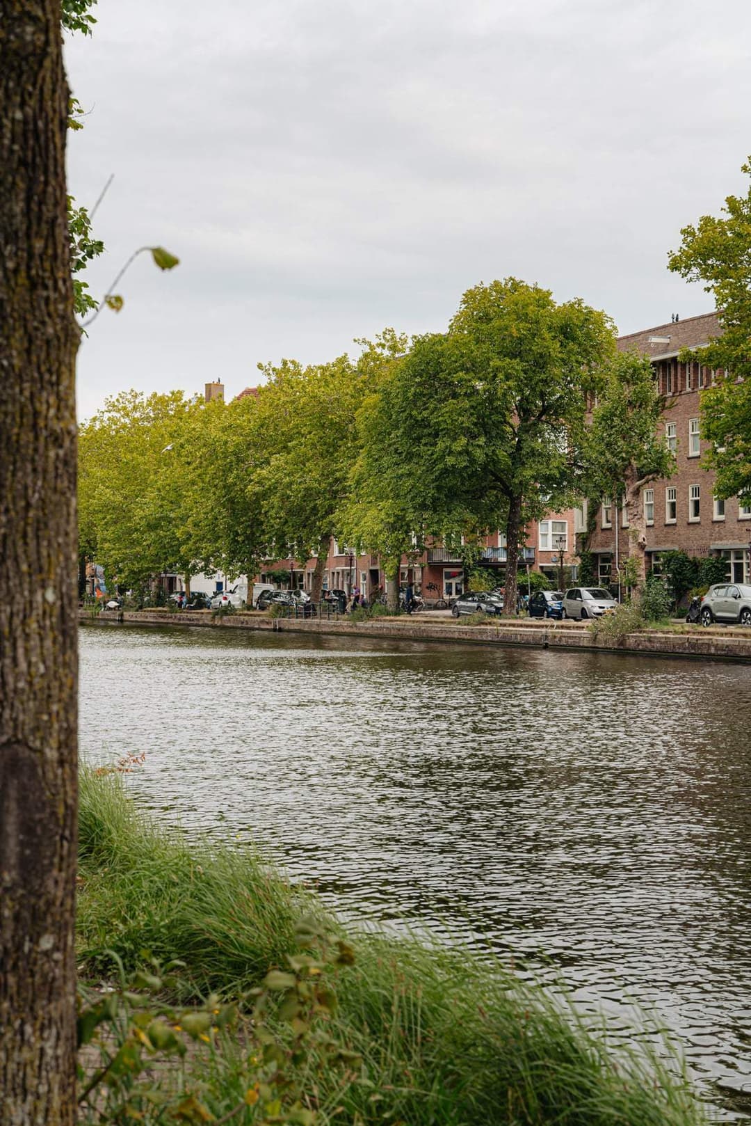Apartamento Leimuidenstraat 29 2, Ámsterdam - En Alquiler