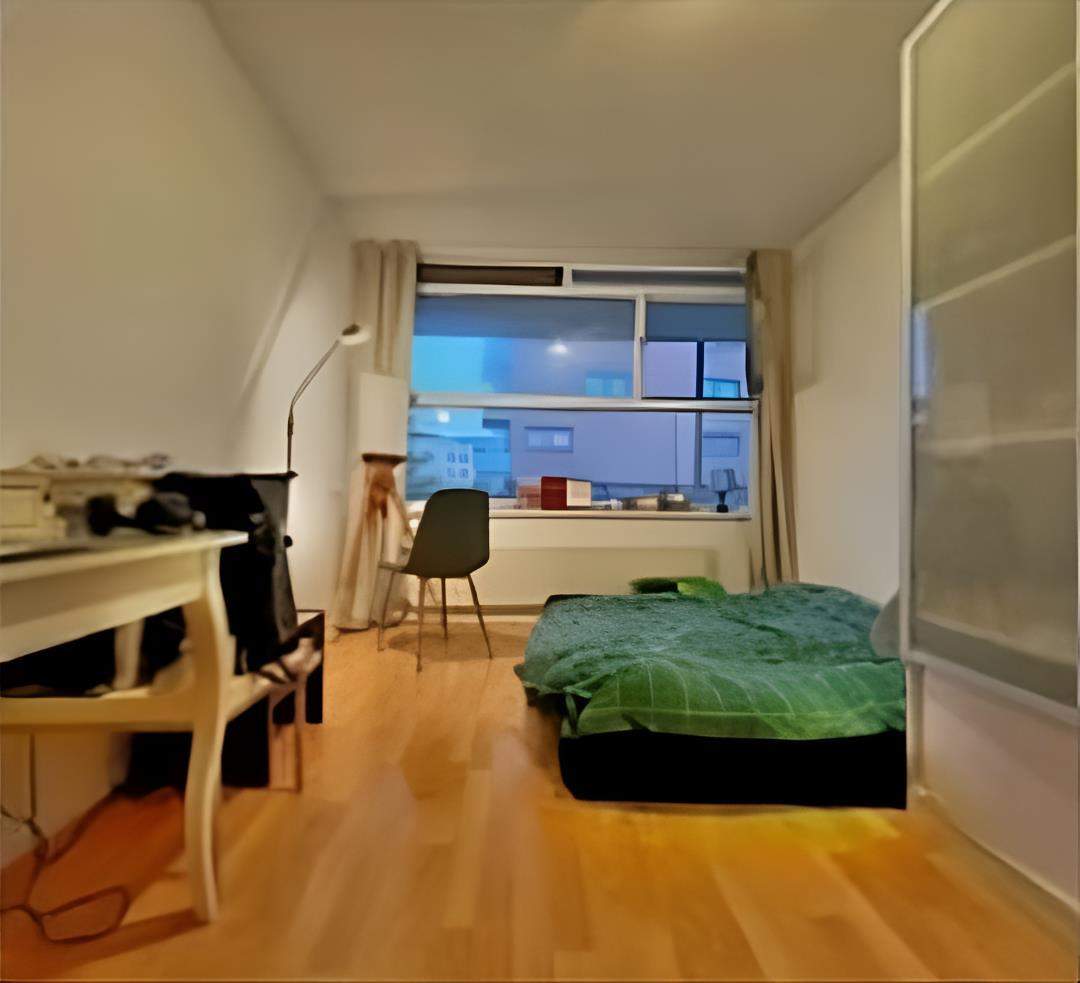 Furnished Room for Rent - Rijswijkseweg, Den Haag