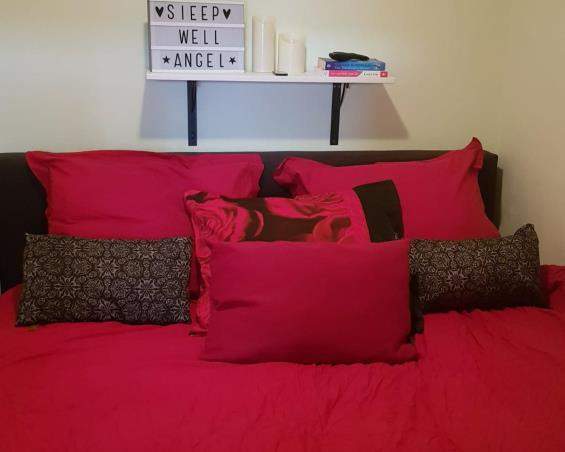 Furnished Room Gerard Doustraat, Amsterdam - Temporary Rent
