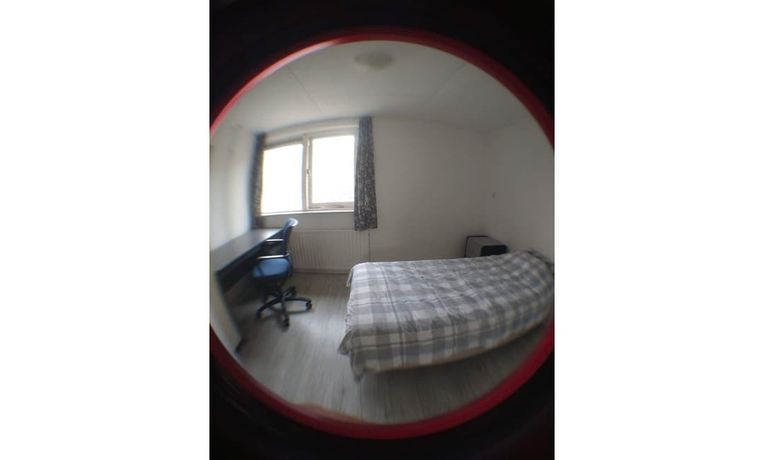 Kamer in Noord, Krimpen aan de Lek - Te Huur