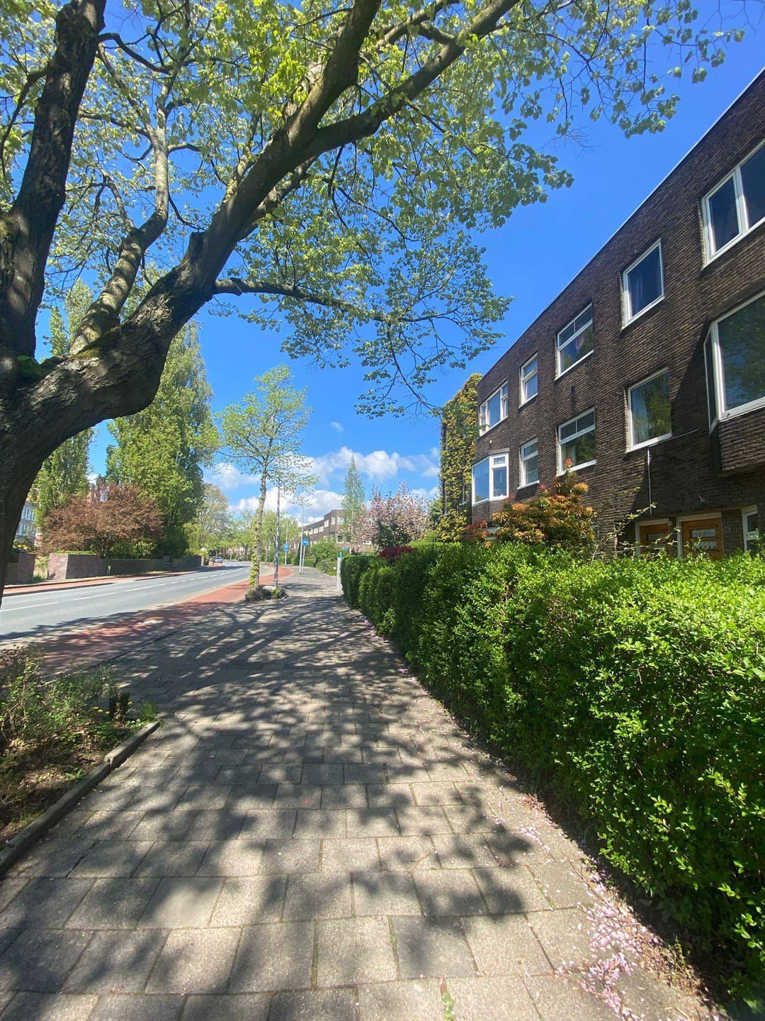 Zimmer zu vermieten an der Petrus Campersingel, Groningen