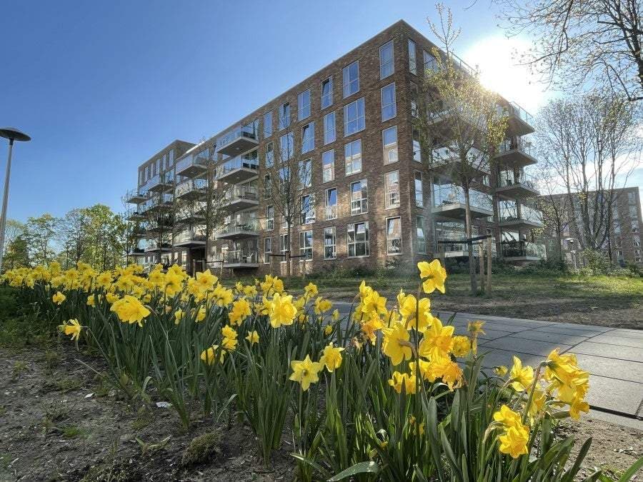 Piso Winklerlaan, Utrecht - En alquiler