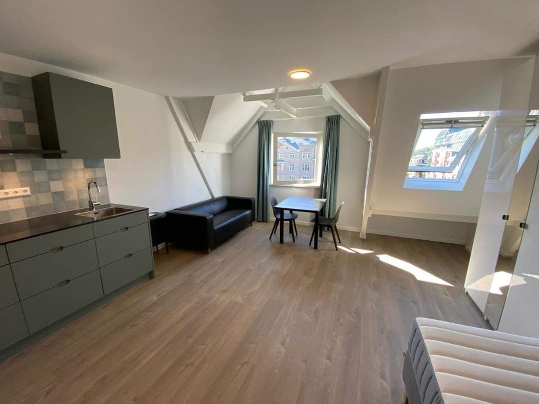 Furnished Studio for Rent - Ruysdaelkade, Amsterdam