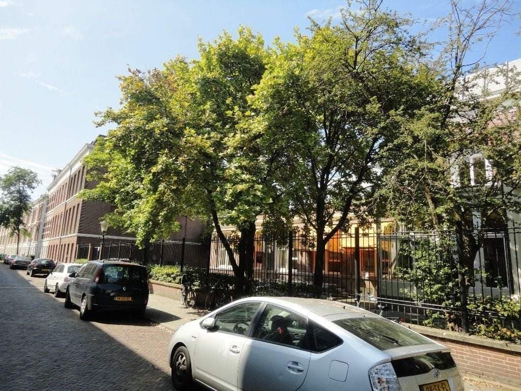 Appartement Van Speijkstraat, Den Haag - Te Huur