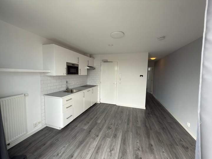 Studio Apartment Isingstraat, Den Haag - For Rent