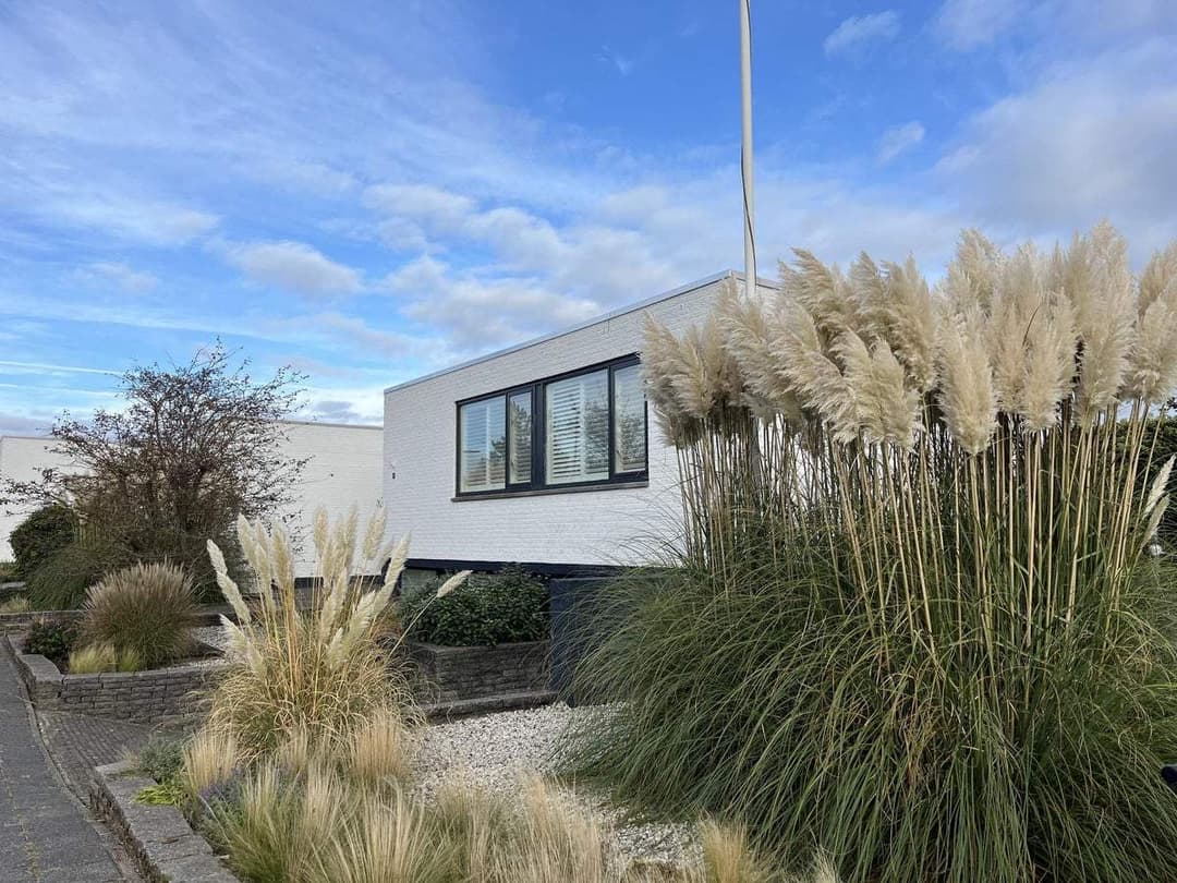 Haus Oranje Nassaustraat, Noordwijk - Zur Miete
