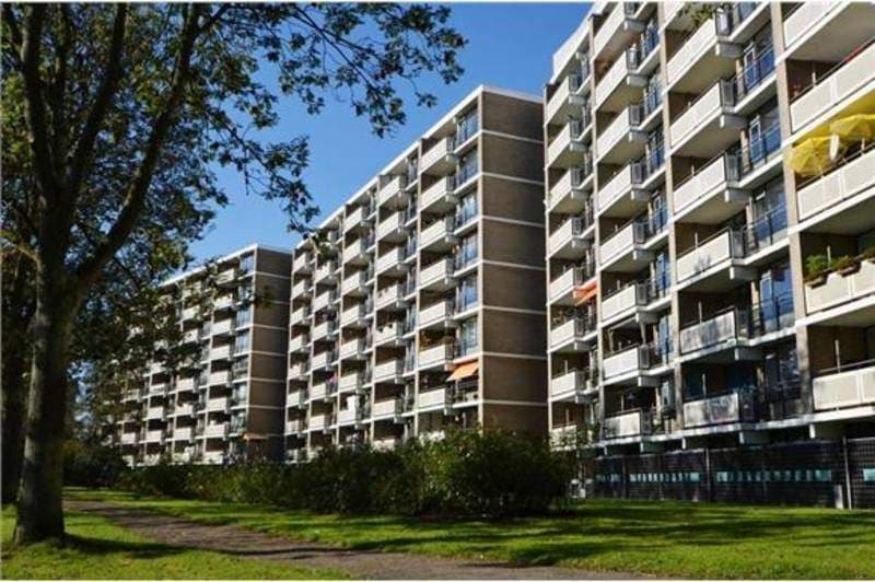 Flat Cruquiuslaan, Leiden - For Rent