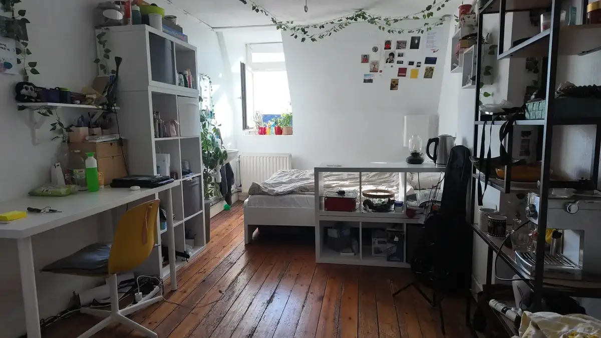 Room Hertogsingel, Maastricht - For Rent