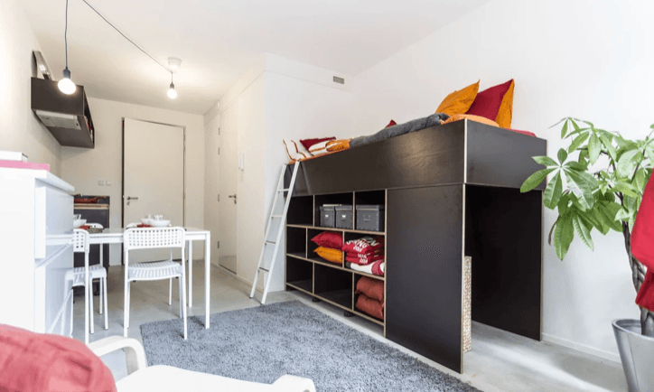 Room for Rent Dr. Schaepmanstraat, Dordrecht