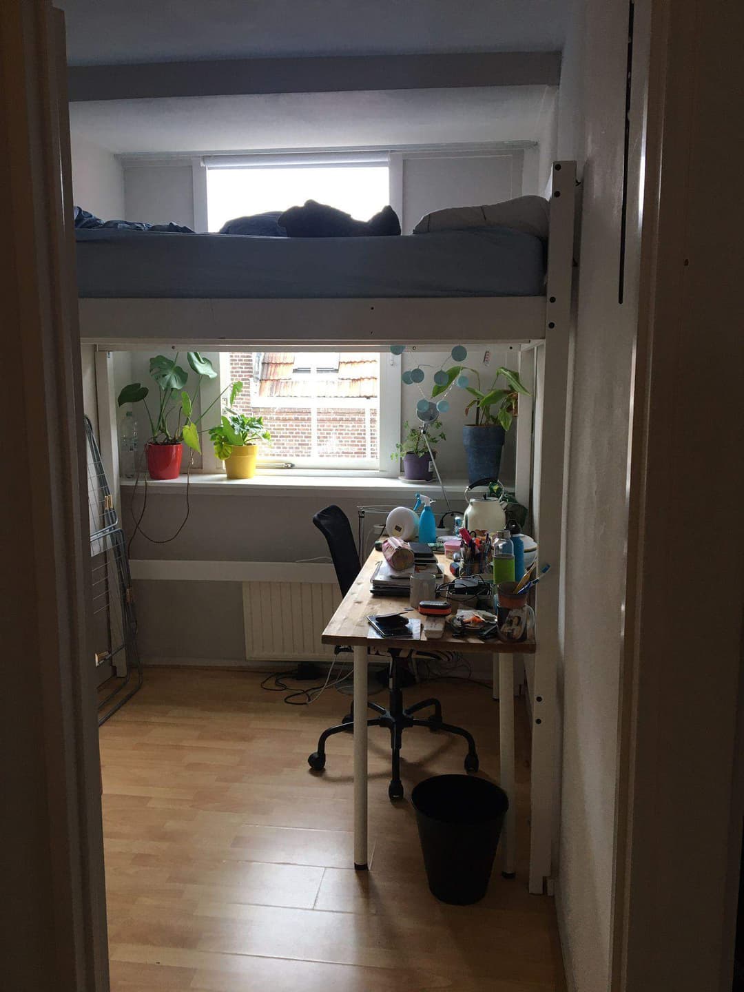 Chambre meublée rue Wassenaar, Delft - À louer
