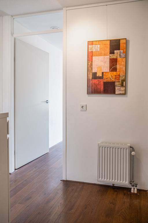 Flat Ruyschstraat, Amsterdam - For Rent