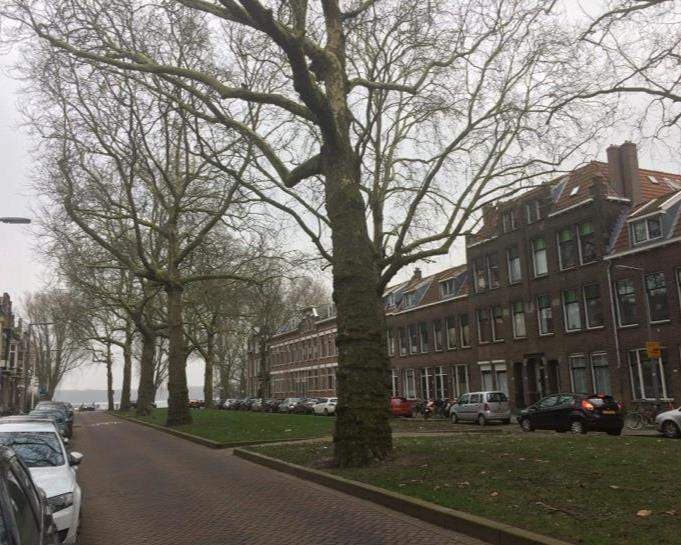 Gemeubileerde Kamer Jericholaan, Rotterdam - Te Huur
