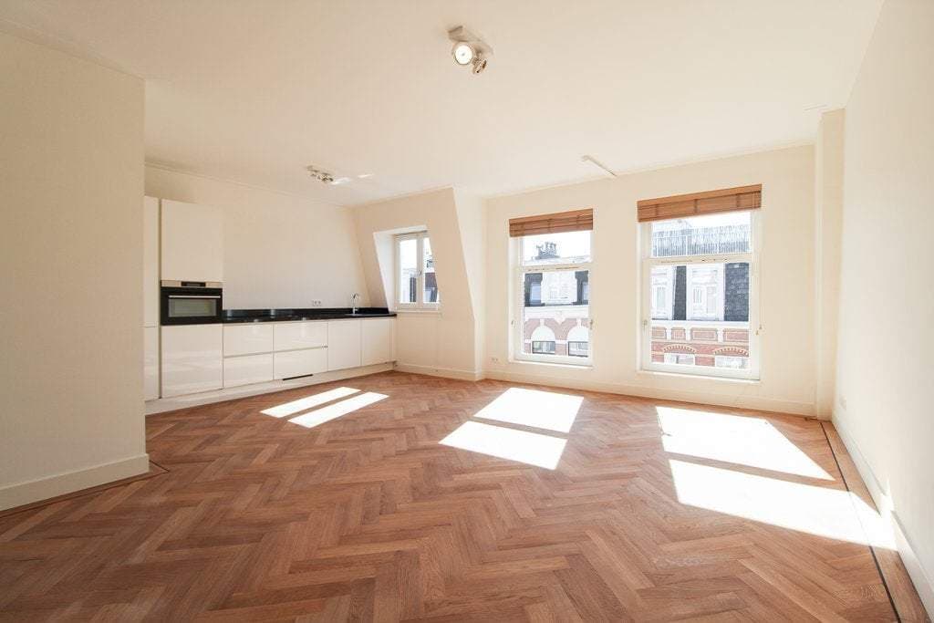 Flat Van Eeghenstraat, Amsterdam - For Rent