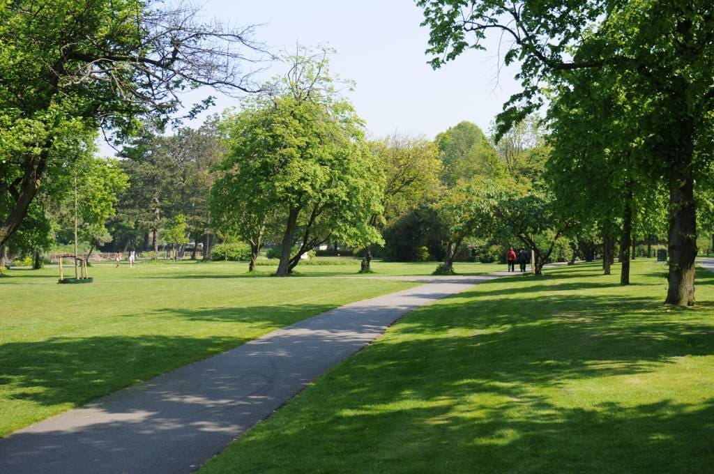 Flat Willem Dreespark, Den Haag - For Rent