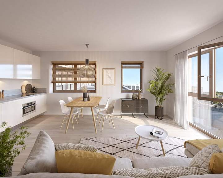 Translation FR placeholder