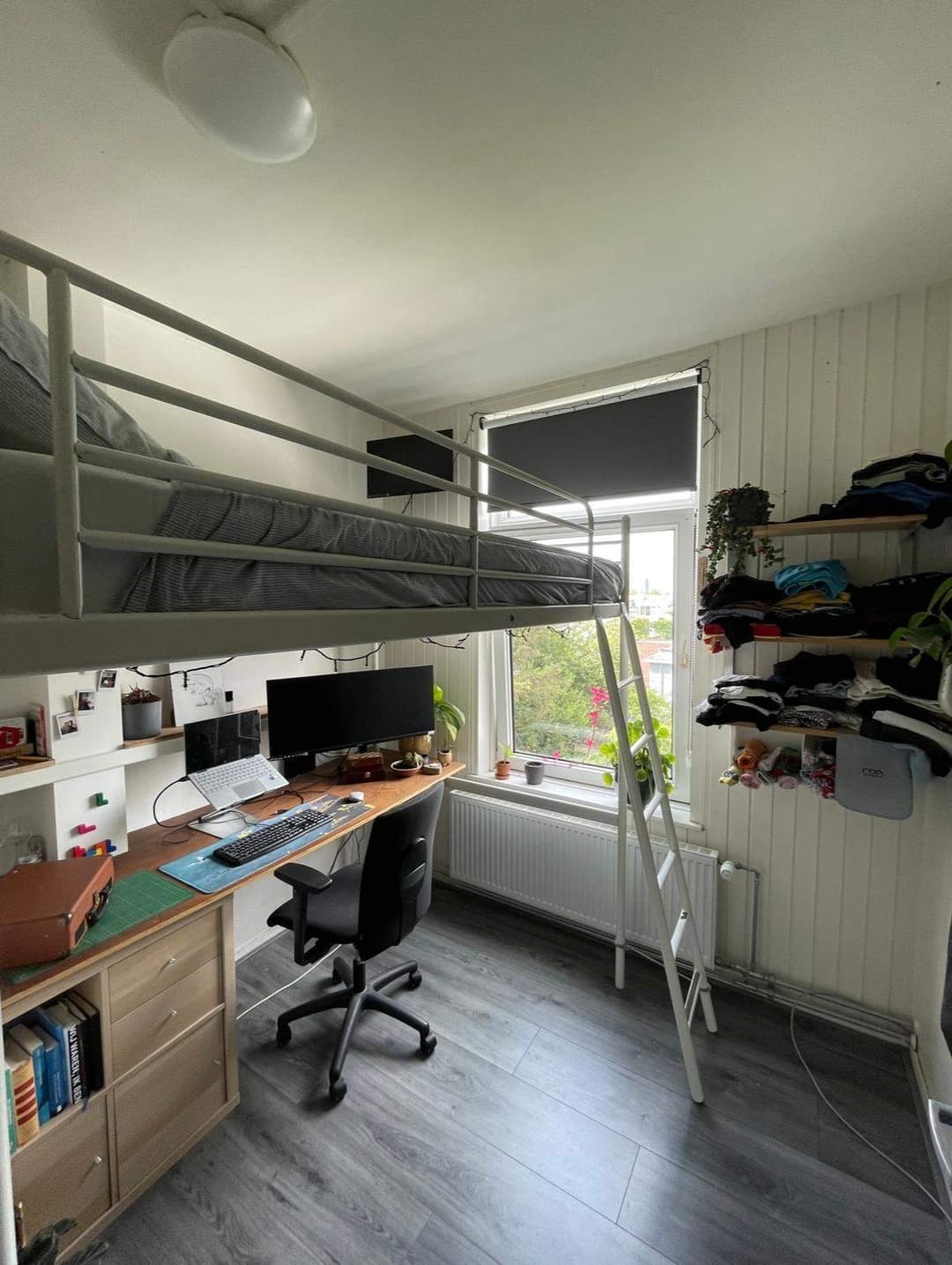 Kamer te Huur Rabenhauptstraat, Groningen