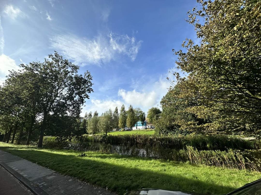Appartement Stadhoudersplantsoen, La Haye - À Louer