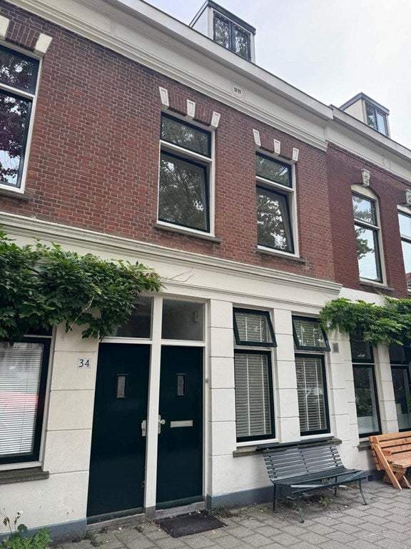 House Paulus Potterstraat, Rotterdam - For Rent