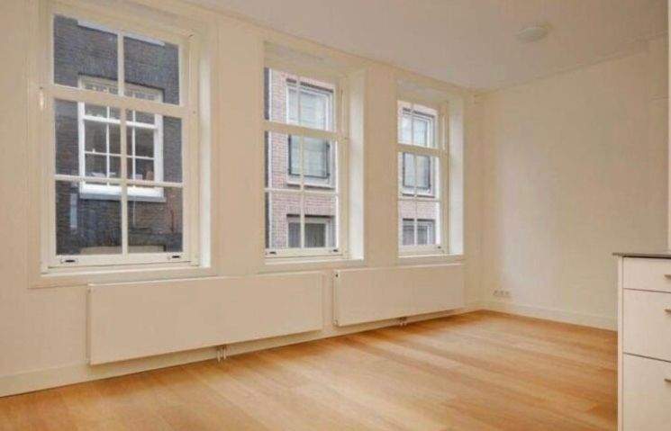 Flat Eerste Jan Steenstraat, Amsterdam - For Rent