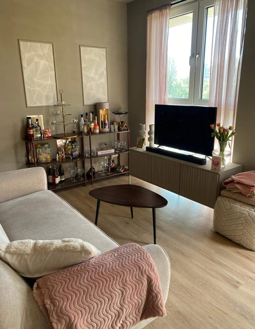Furnished Studio Pierre van Hauwelaan, Delft - For Rent