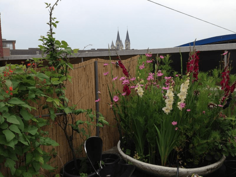 Appartement Godsweerdersingel, Roermond - Te Huur