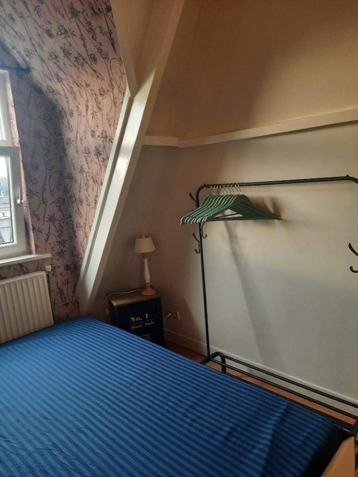 Gemeubileerde Kamer Regentesselaan, Den Haag - Te Huur