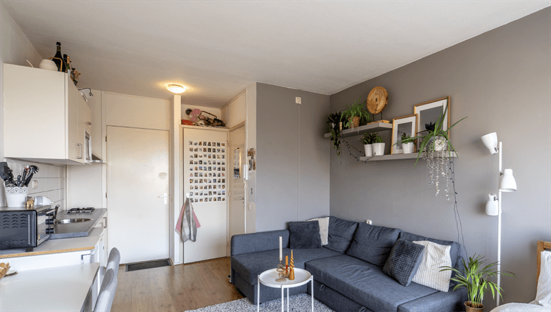 Studio Populierenlaan, Groningen - Zur Miete
