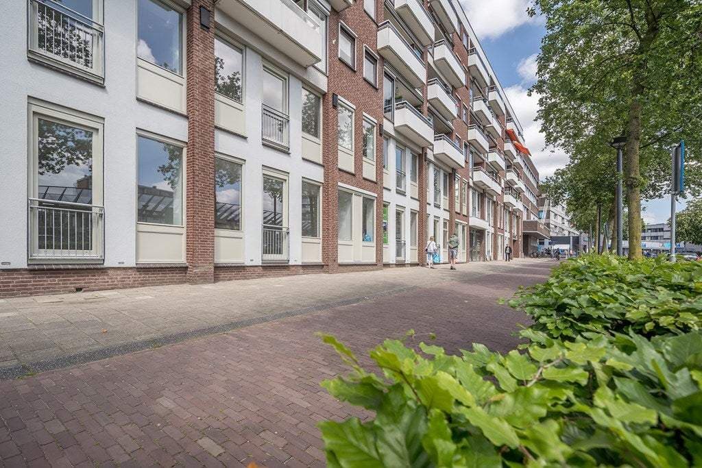 Flat Olympiaplein, Wageningen - Te Huur