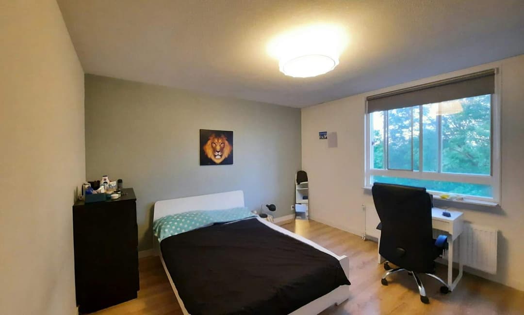 Kamer Den Uylsingel, Rotterdam - Te Huur
