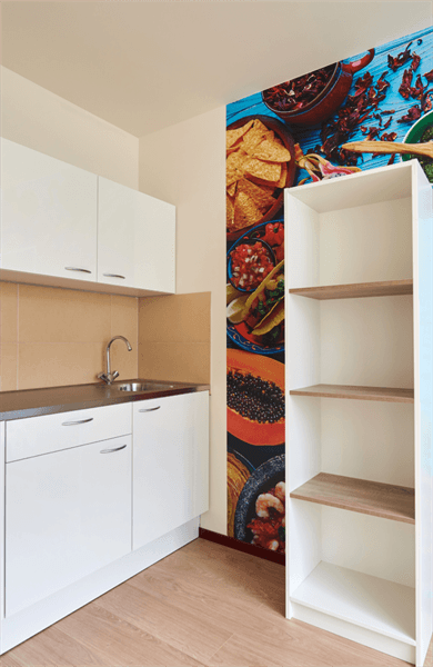 Schipholweg, Leiden - Studio (20 m²)