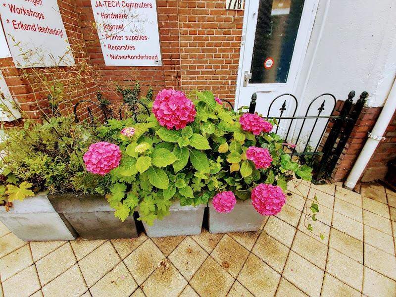 Furnished Room Steynlaan, Zeist - For Rent