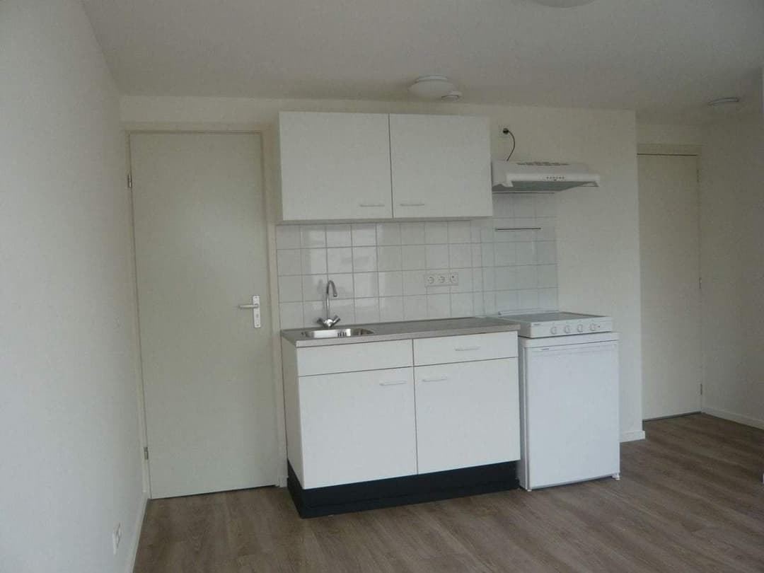 Flat Brasserskade, Delft - Te Huur