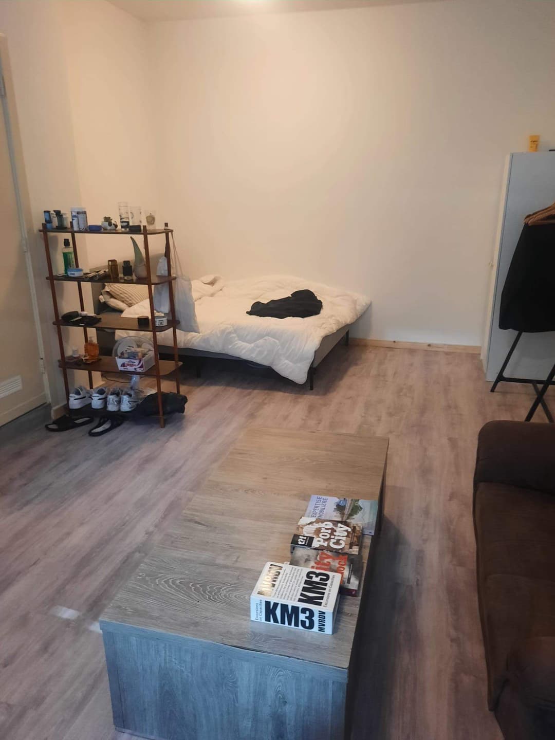 Gemeubileerde Kamer Heemraadssingel, Rotterdam - Te Huur