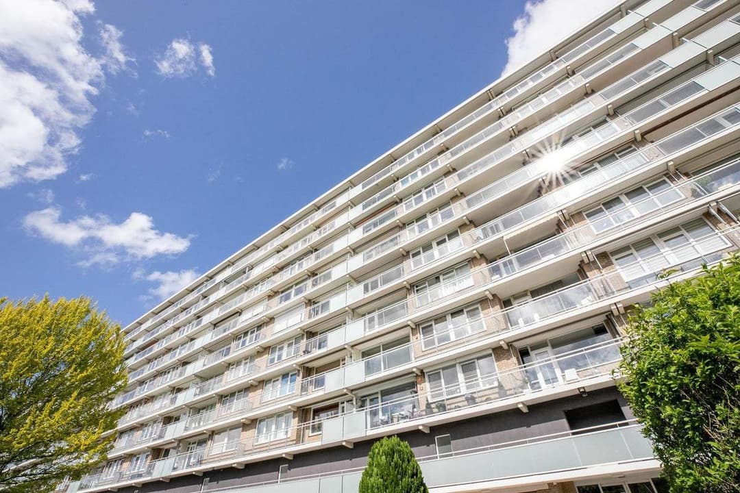 Flat Holysingel 490, Vlaardingen - For Rent