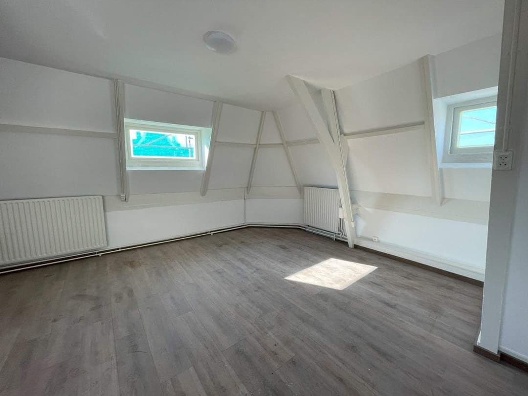 Room Oude Rijn, Leiden - For Rent